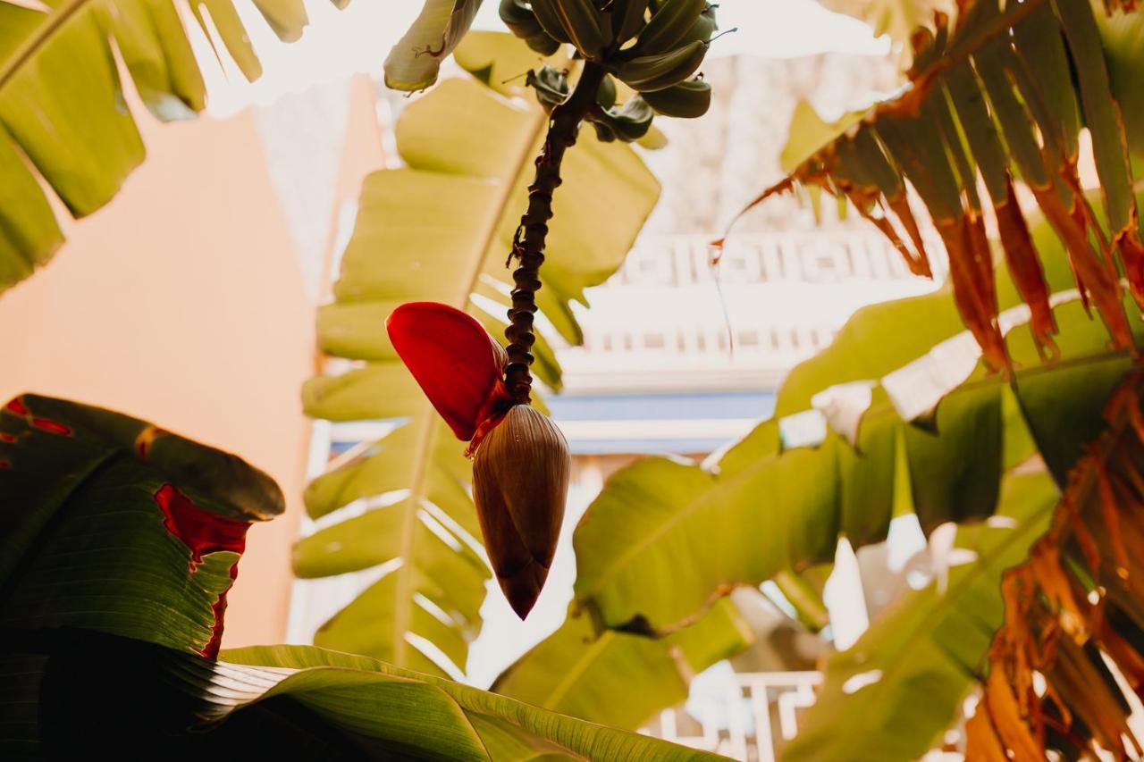 La Casona Beach House バレンシア エクステリア 写真